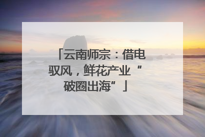 云南师宗：借电驭风，鲜花产业“破圈出海”